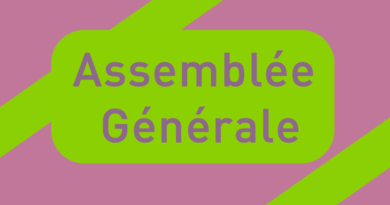 Assemblée Générale et élections par voie électronique Assemblée Générale et élections par voie électronique